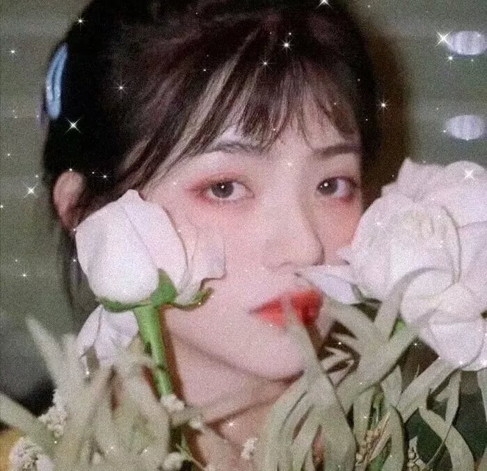 金鹿
